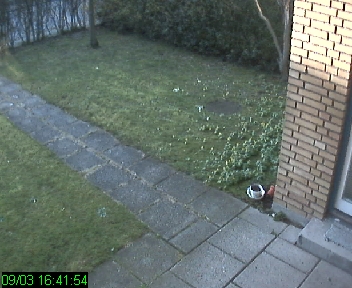 Webcamera