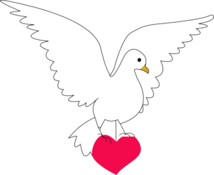 peace-dove-md.png